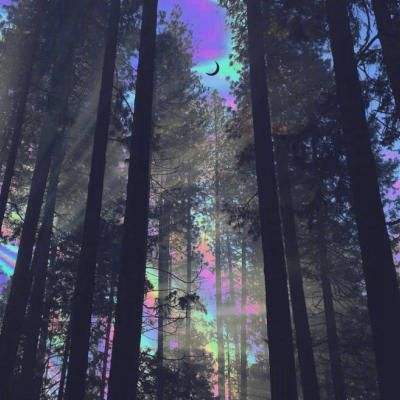 爱游戏ayx中国官方网站截图